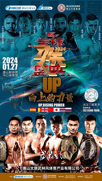 Wu Lin Feng 2024: 12th Global Kung Fu Festival poster