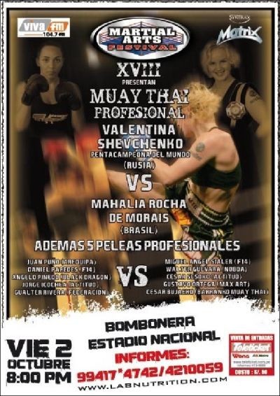 Muay Thai Professional poster