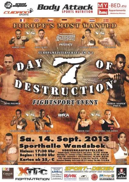 Day Of Destruction 7 poster