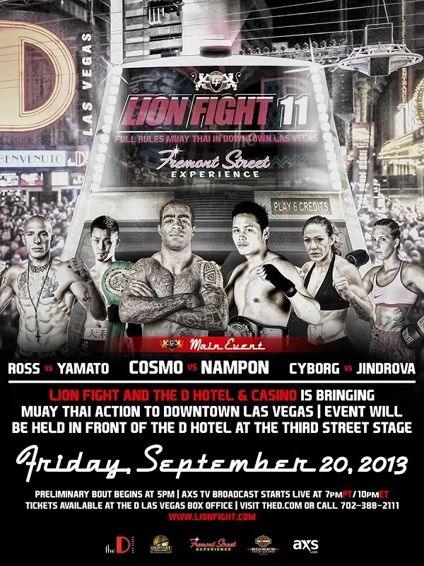 Lion Fight 11 poster