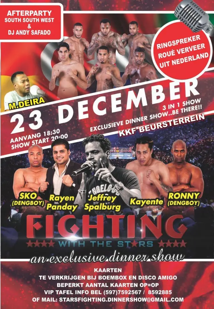 Fighting With The Stars poster