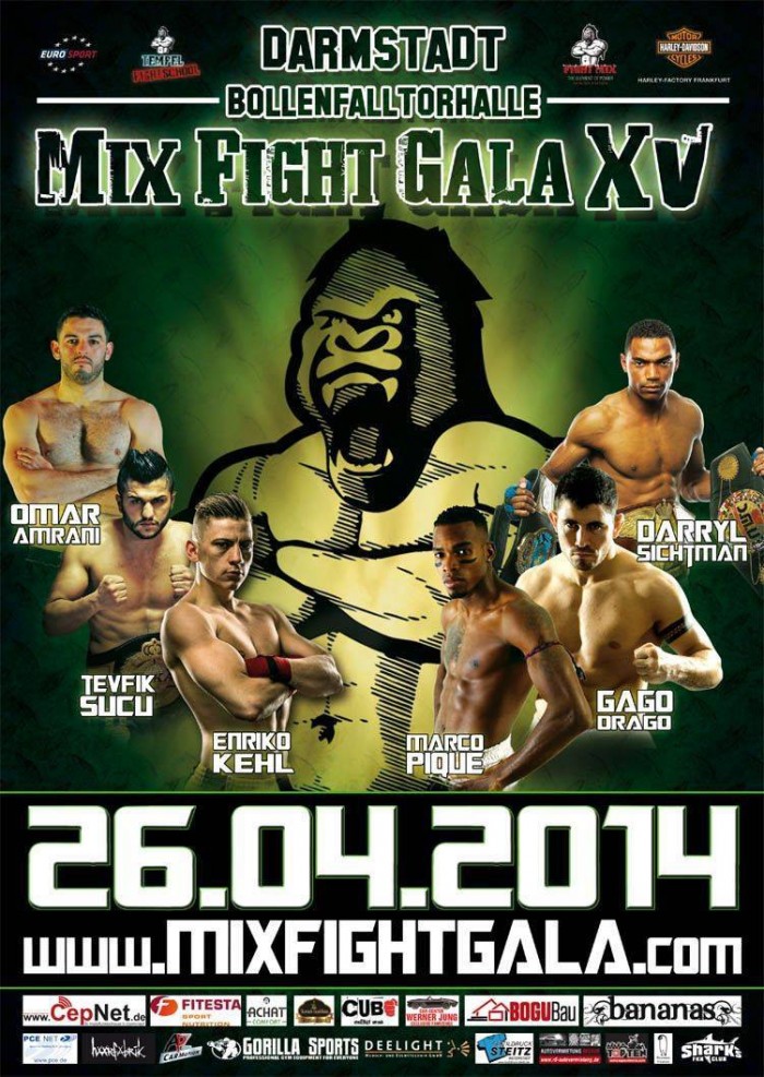 Mix Fight Gala XV poster