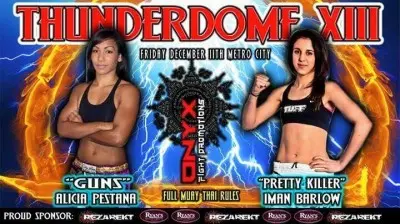 Thunderdome XIII poster
