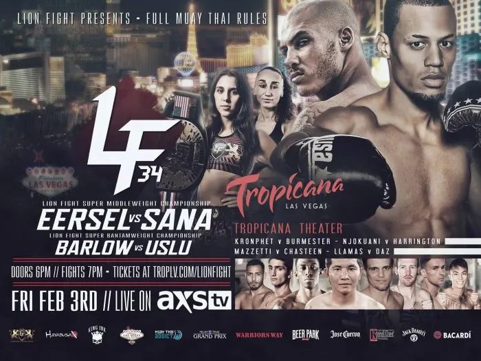 Lion Fight 34 poster