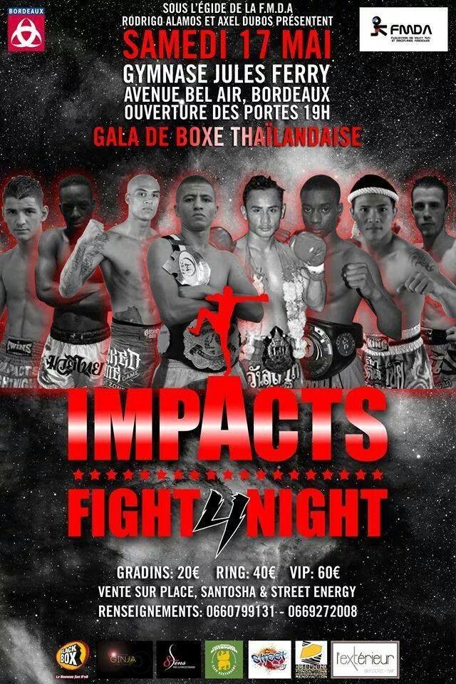 Impacts Fight Night 4 poster