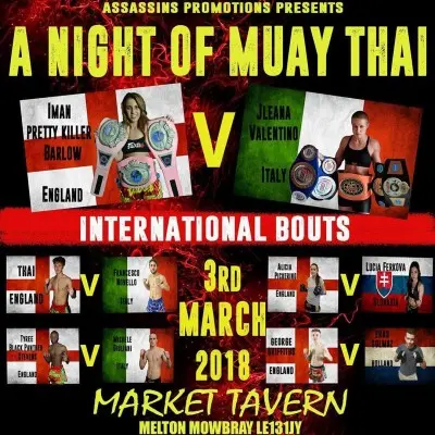 A Night Of Muay Thai V poster