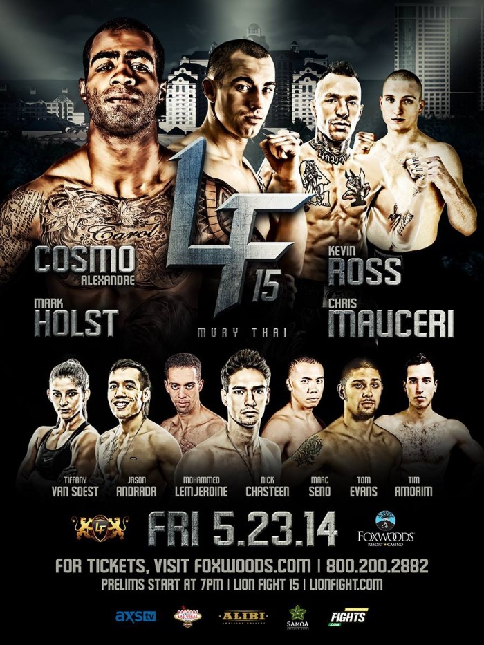 Lion Fight 15 poster