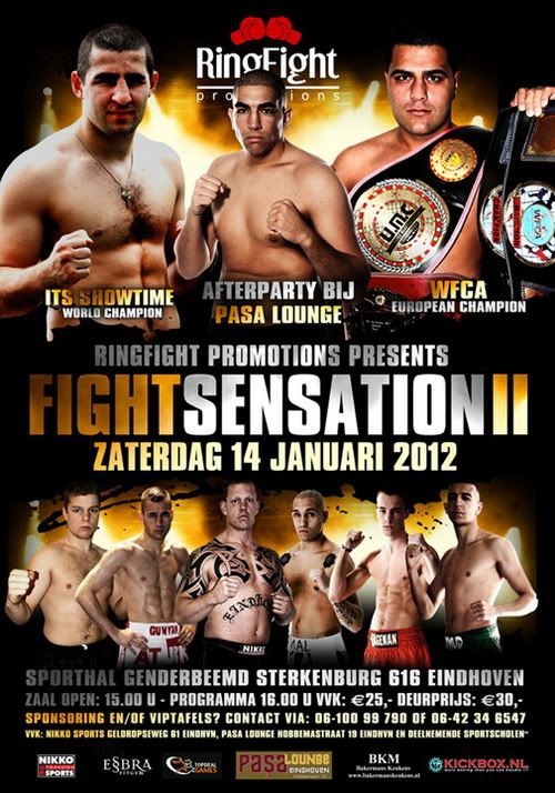 Fightsensation II poster