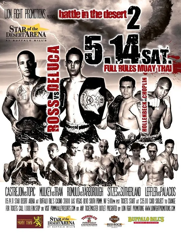 Lion Fight 2 poster