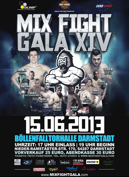 Mix Fight Gala XIV poster