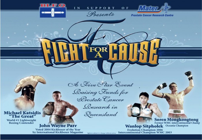 Fight For A Cause poster