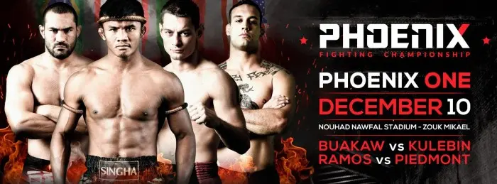 Phoenix Fighting Championship poster