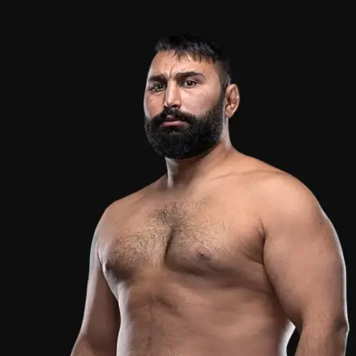 Iraj Azizpour