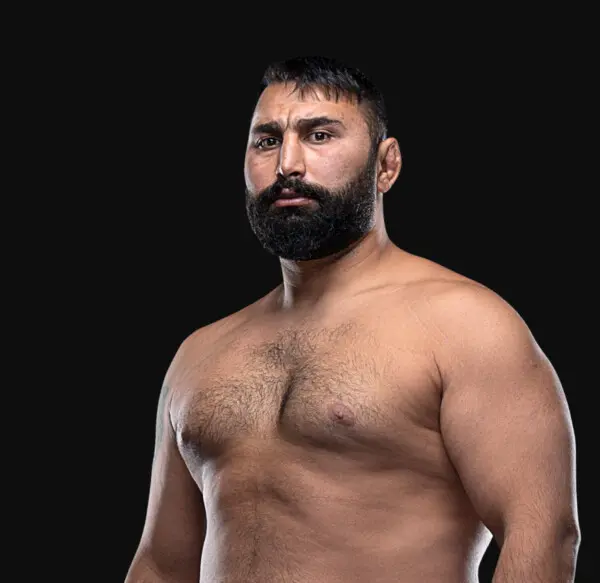 Iraj Azizpour