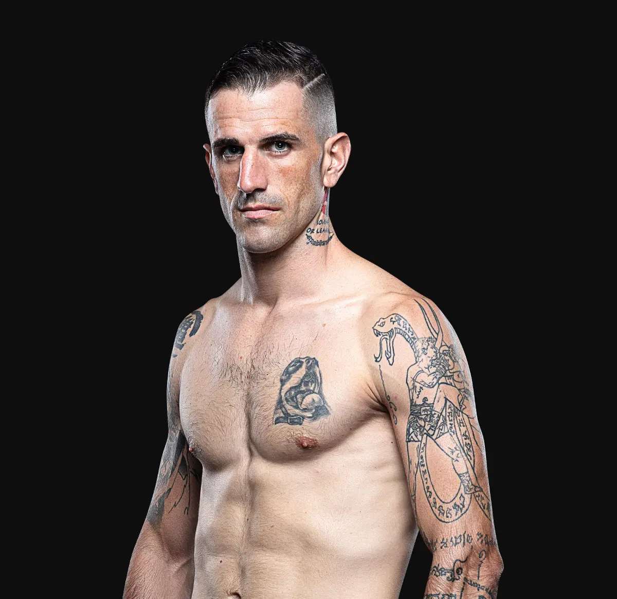 Mikel Fernandez