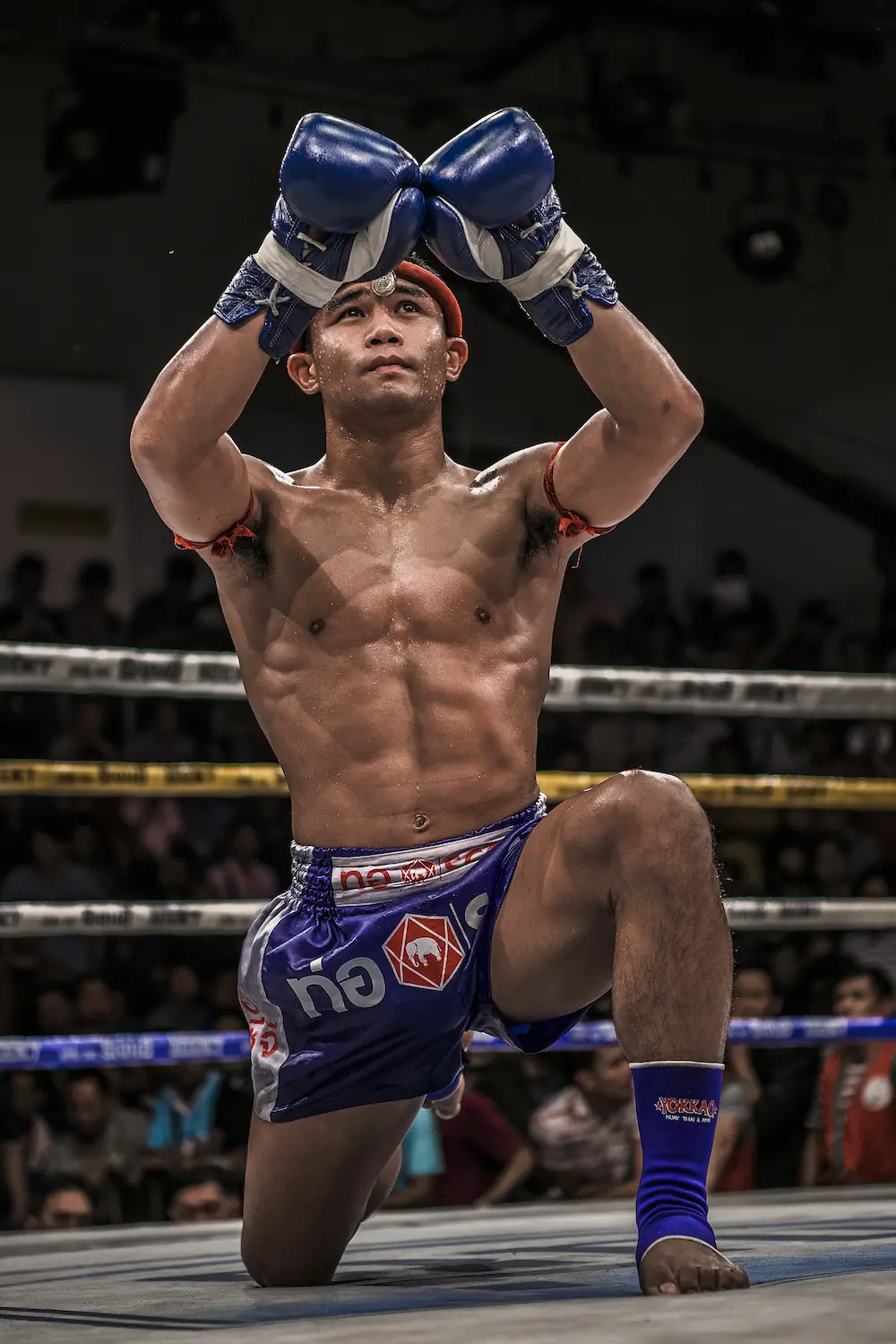 Manachai Yokkao Saenchai Gym
