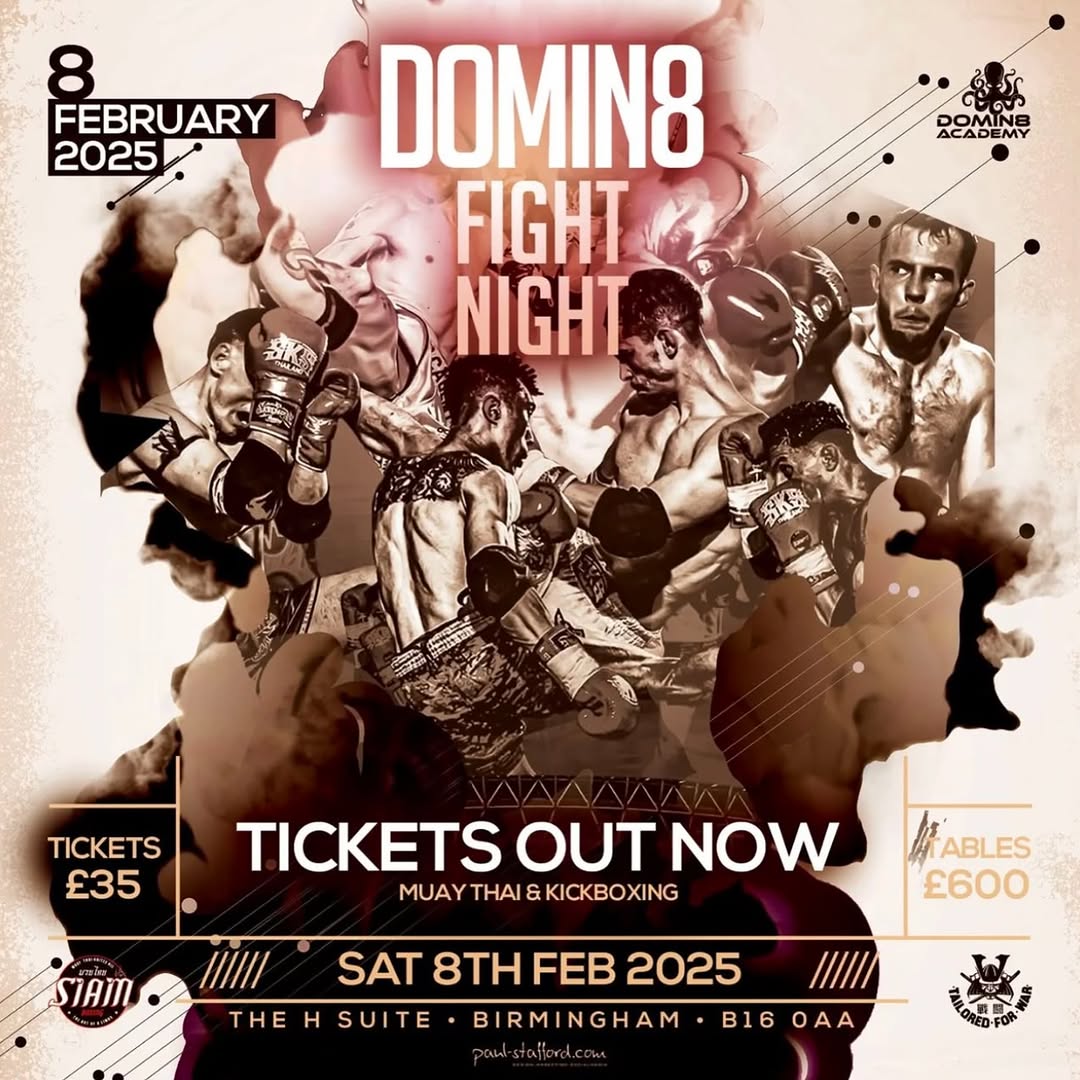 Domin8 Fight Night 3 poster