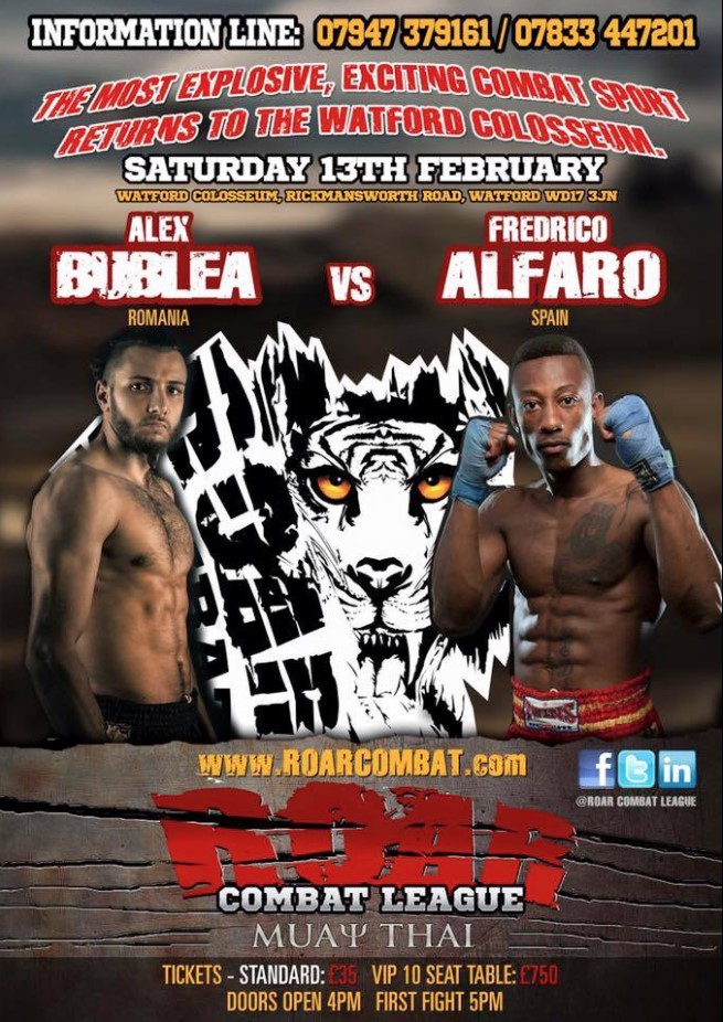 Roar Combat League 2 poster