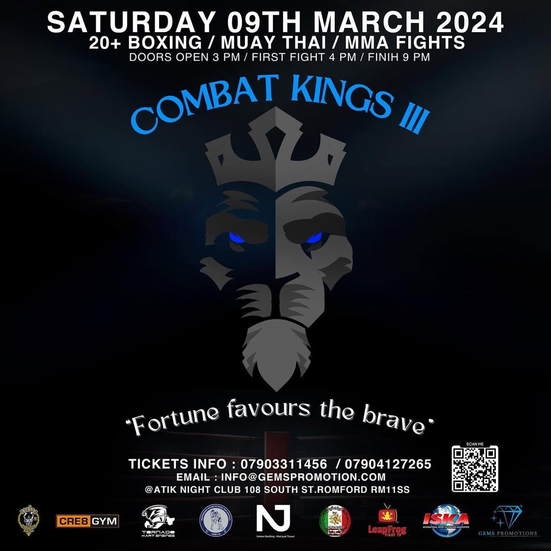 Combat Kings 3 poster