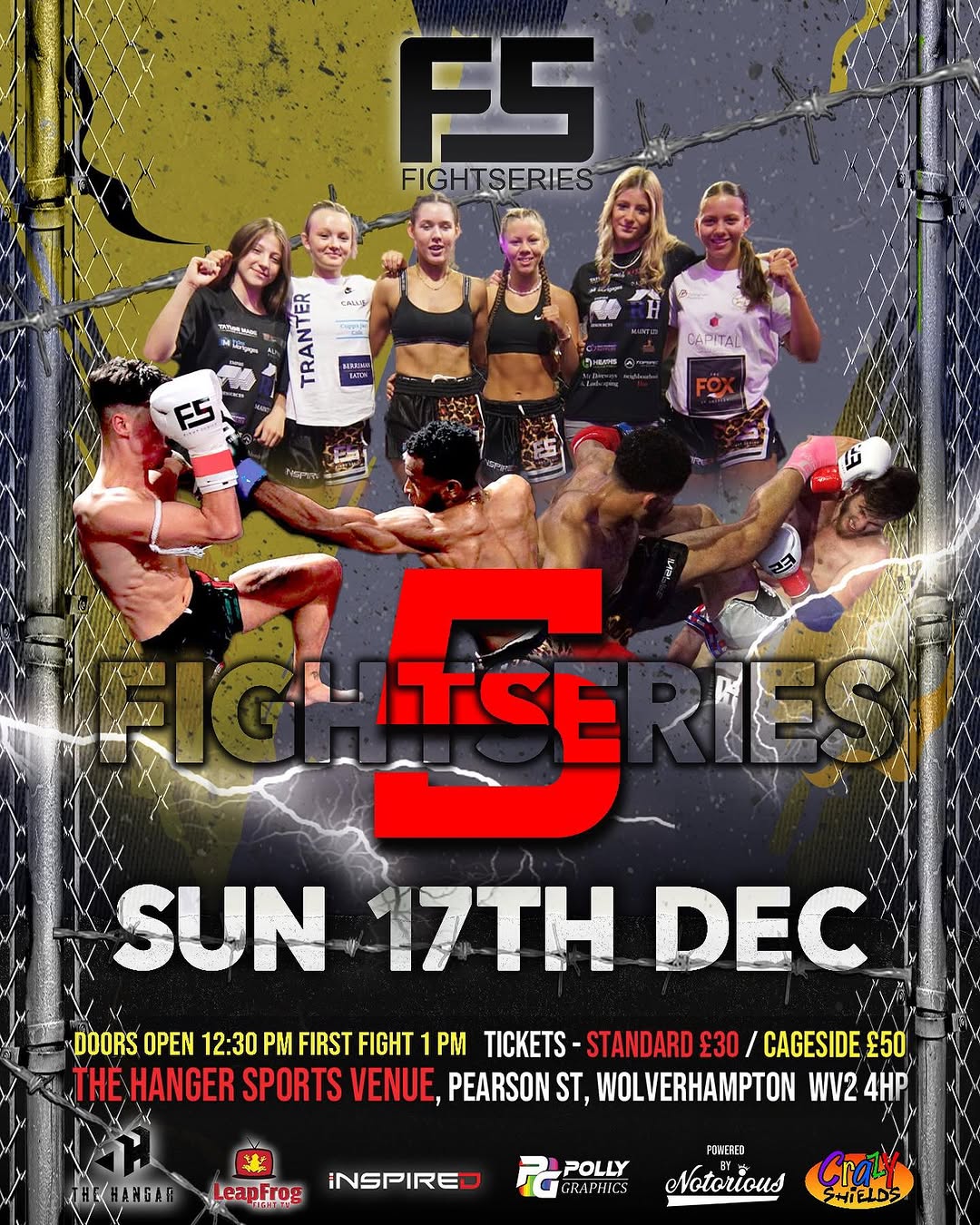 Fight Series 5 poster