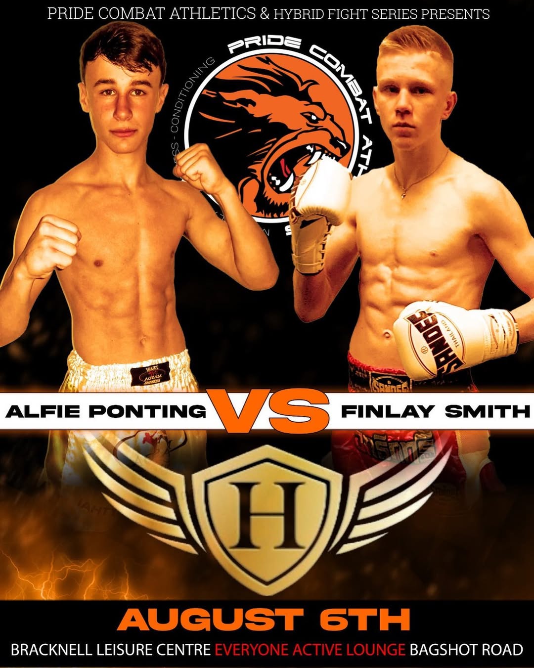 Hybrid Fight Series poster