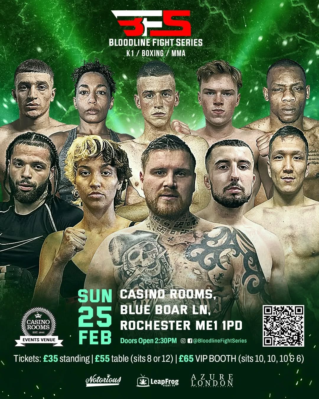 Bloodline Fight Series 3 poster