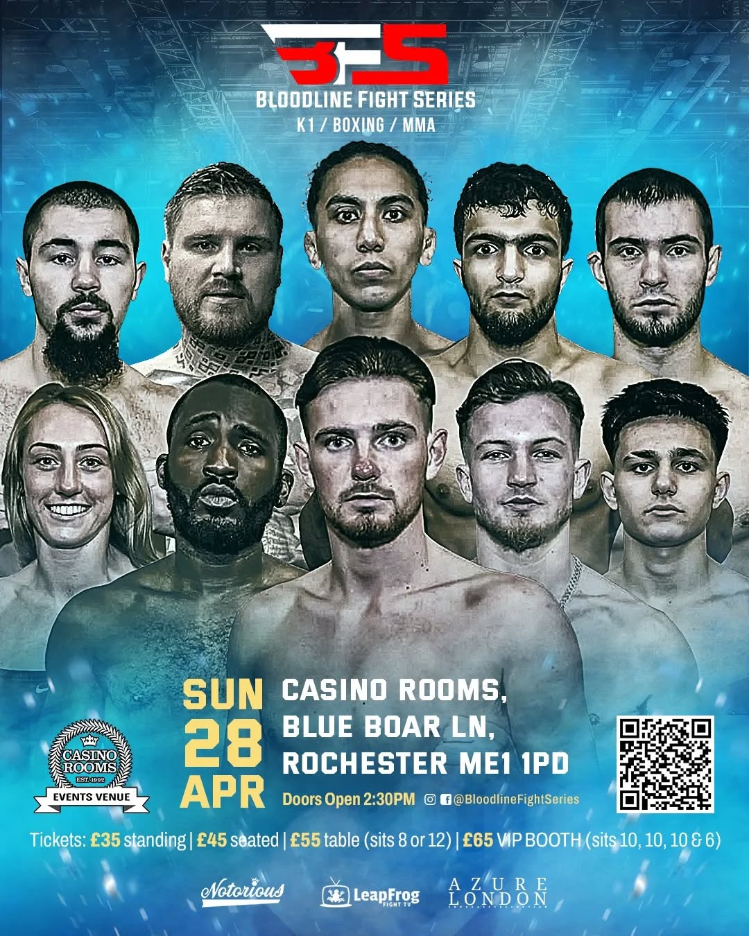 Bloodline Fight Series 4 poster