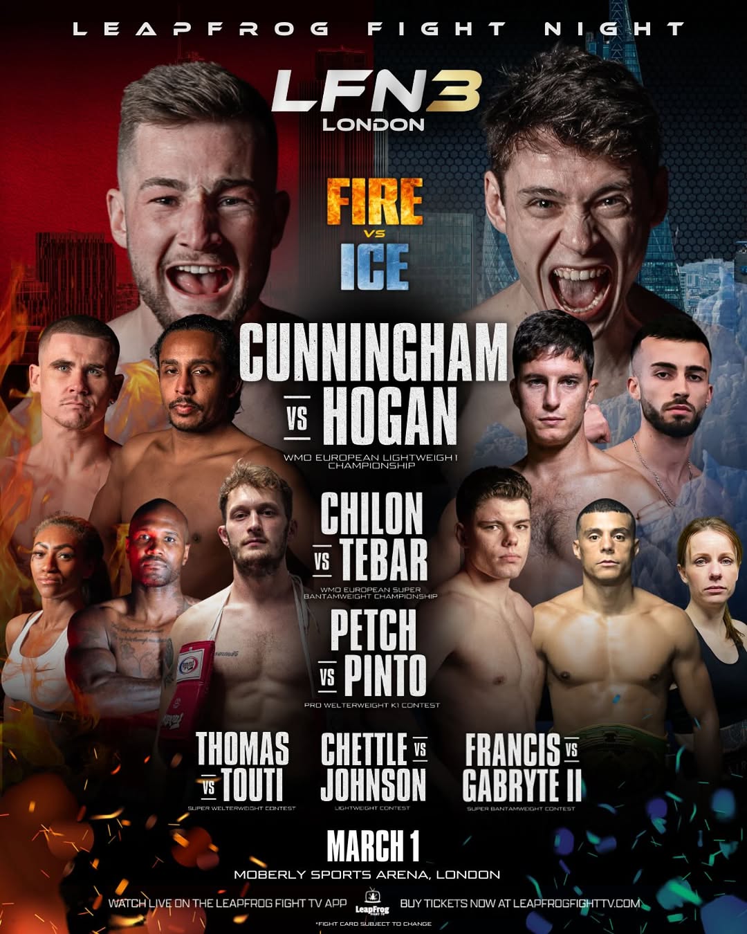 Leapfrog Fight Night 3 poster