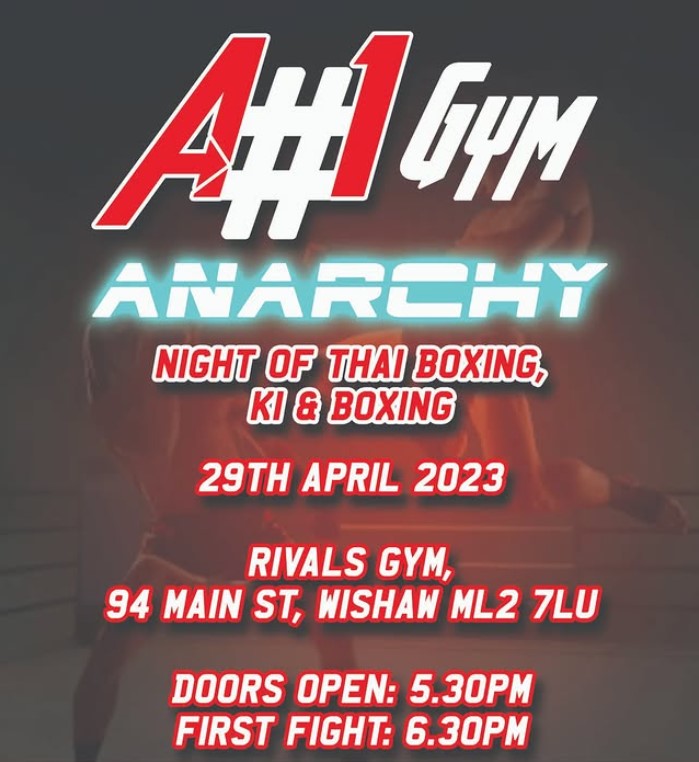 Anarchy Fight Night 3 poster