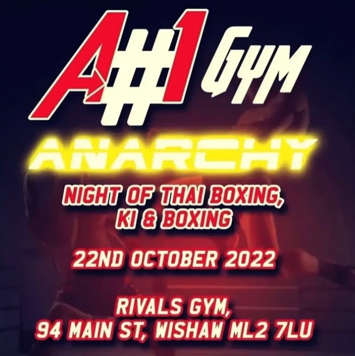 Anarchy Fight Night 2 poster