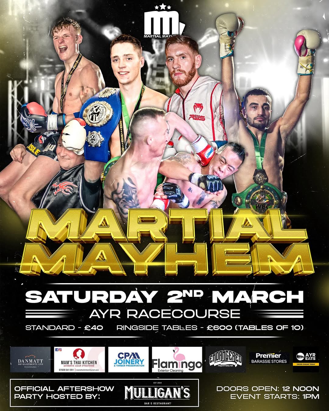 Martial Mayhem (02.03.2024) poster
