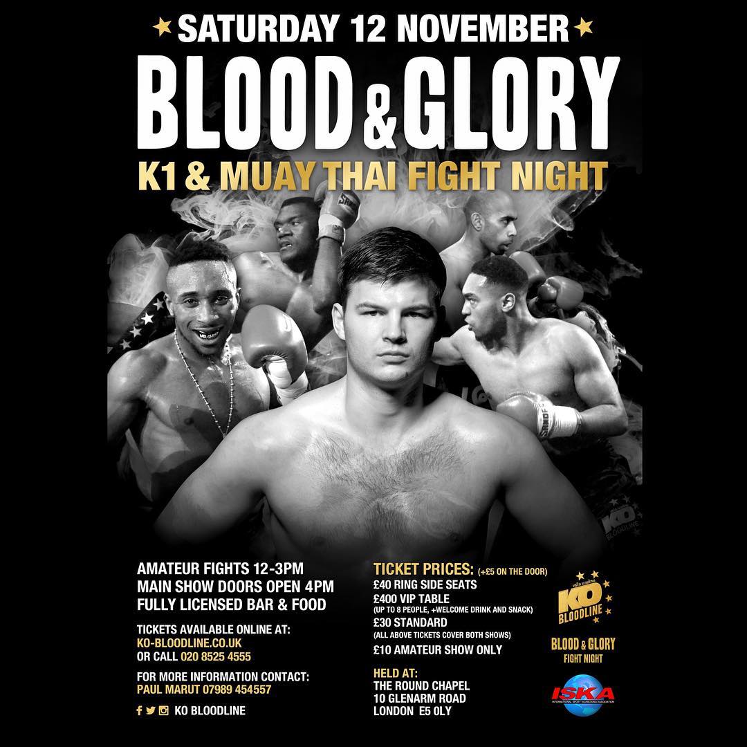 Blood & Glory Fight Night (12.11.2016) poster
