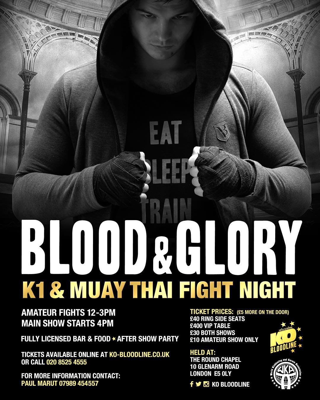 Blood & Glory Fight Night (23.04.2016) poster