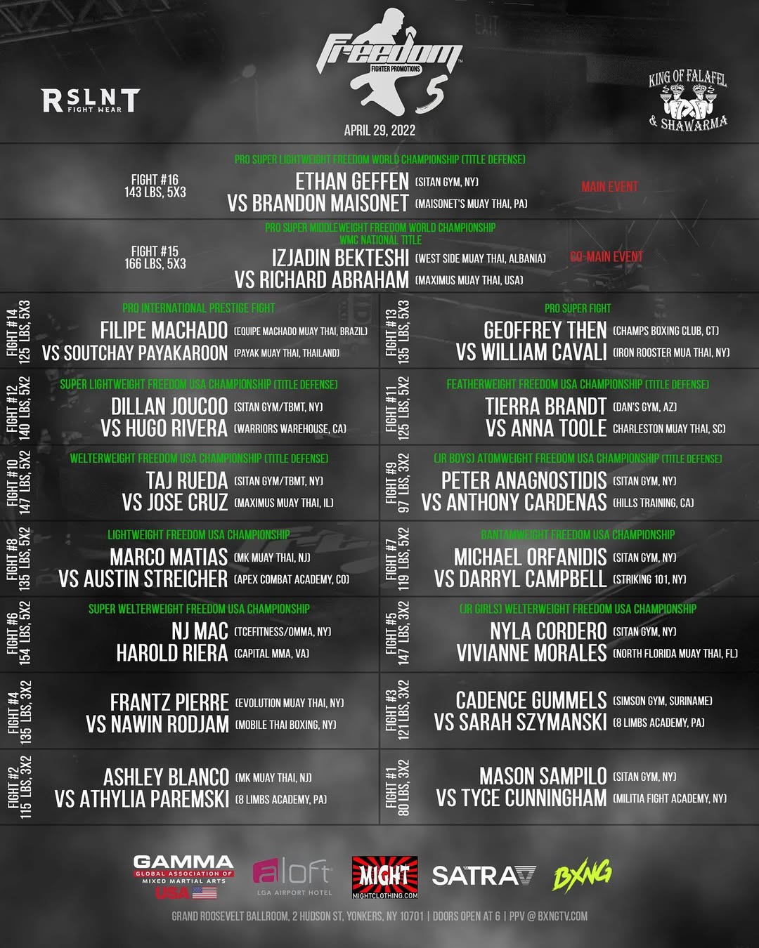 Freedom Fighter Promotions 5 poster