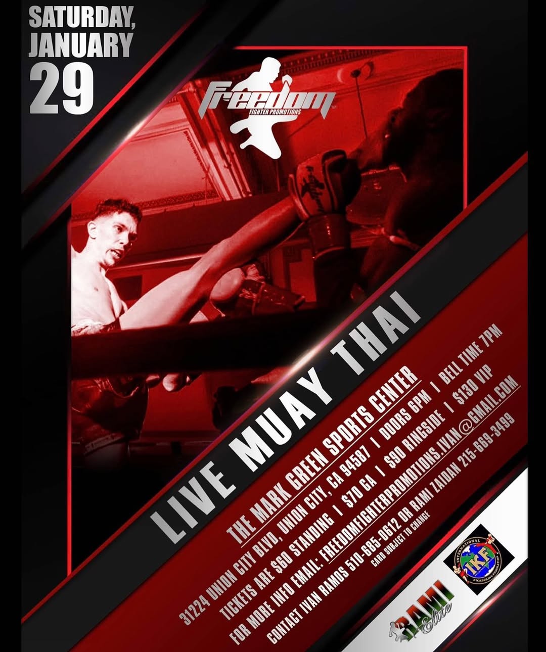 Freedom Fighter Promotions 3 poster