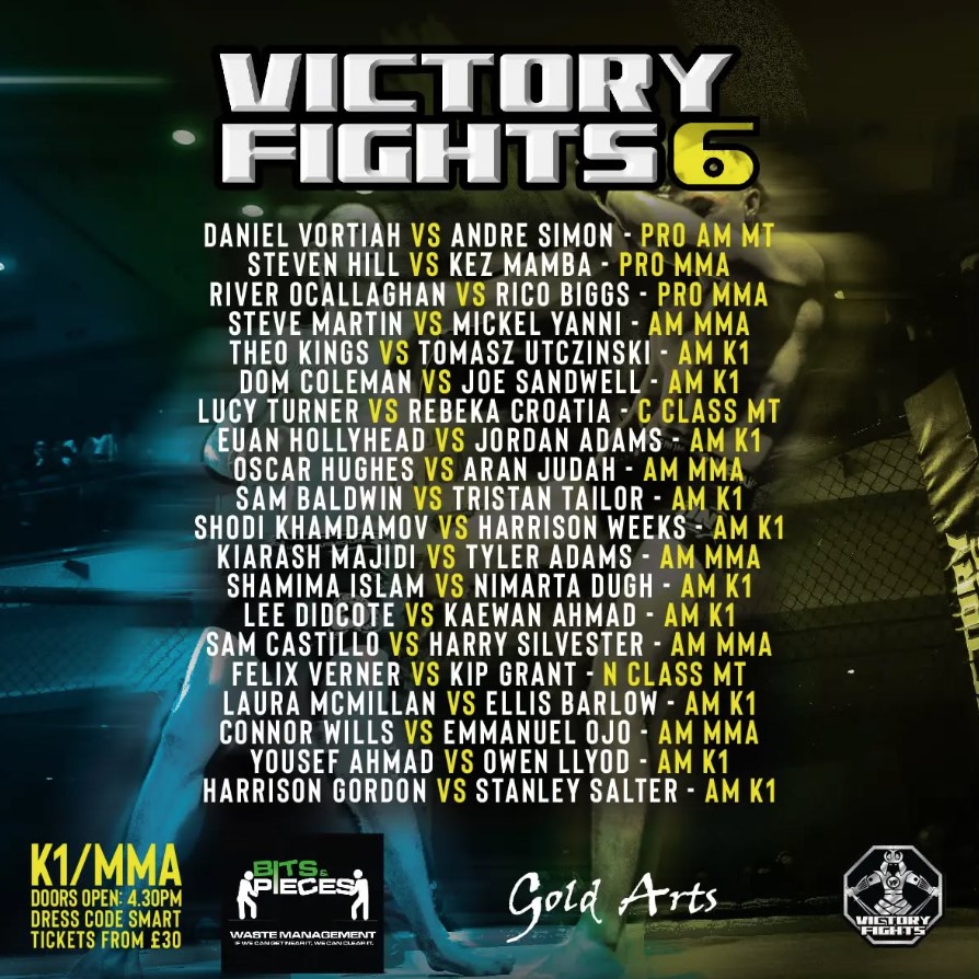 Victory Fights 6 poster