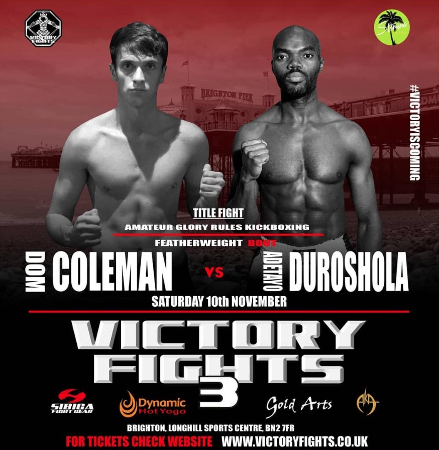 Victory Fights 3 poster