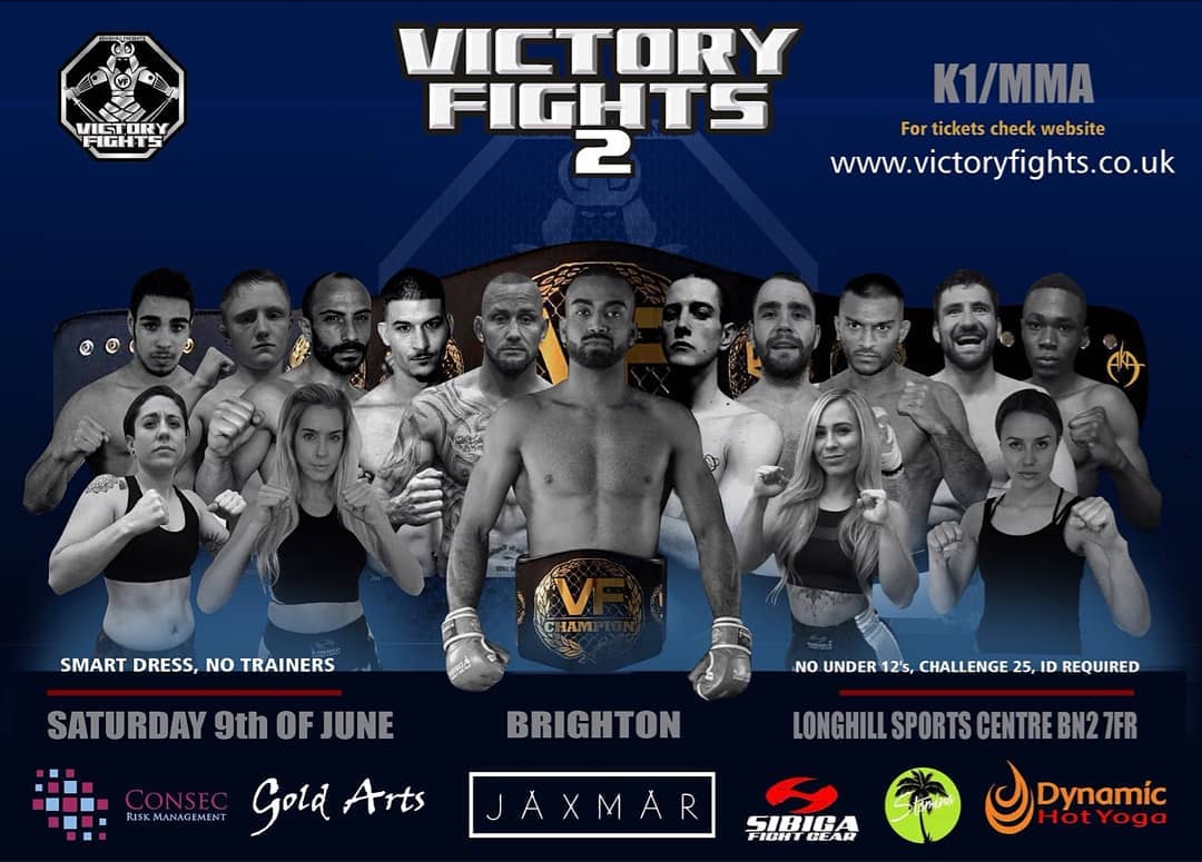 Victory Fights 2 poster