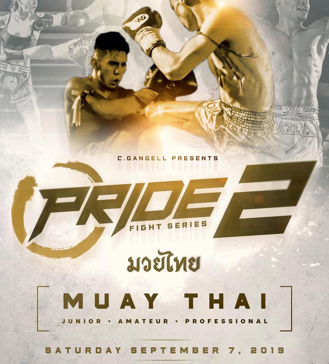 Pride Fight Series 2 poster