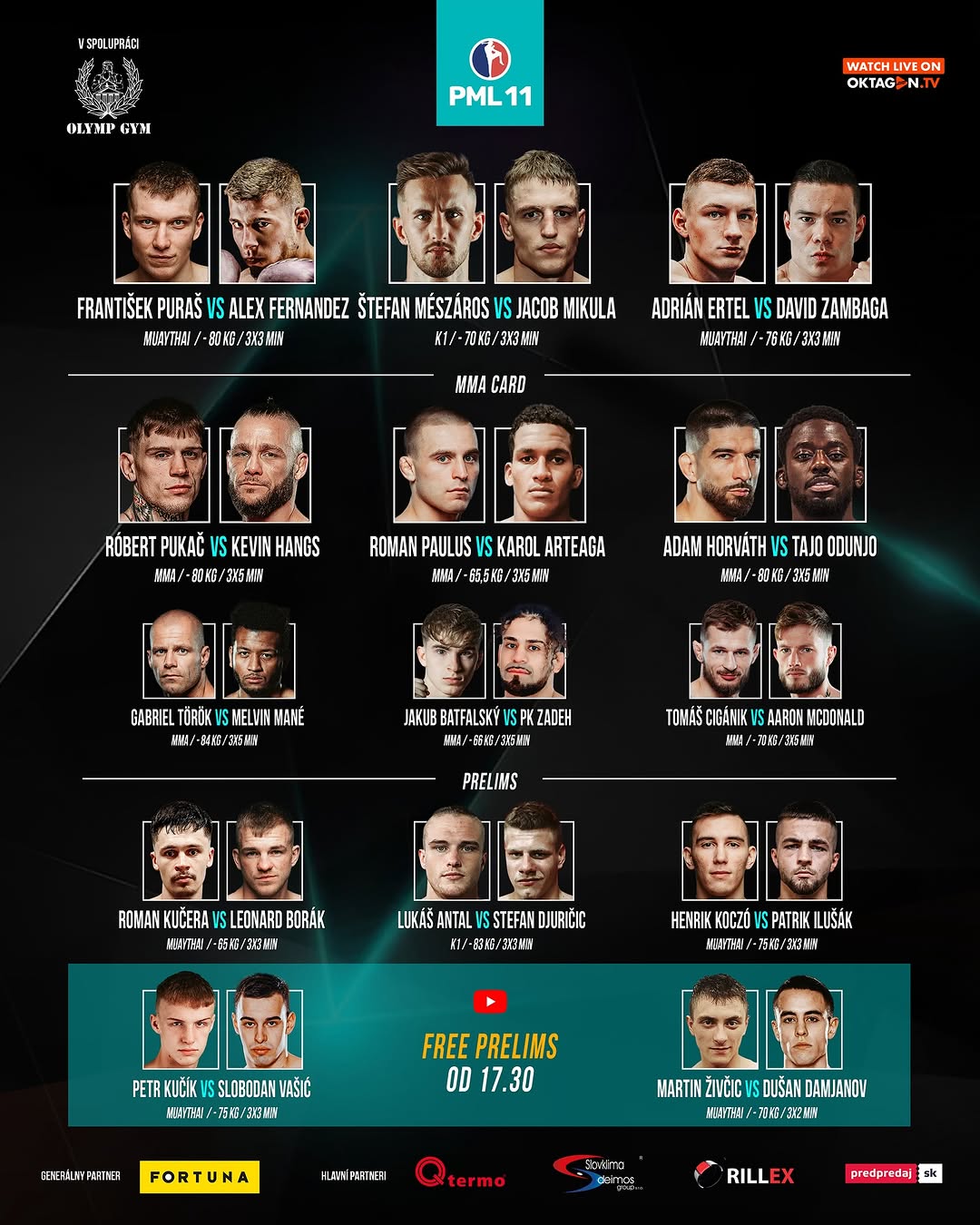 PML 11 poster