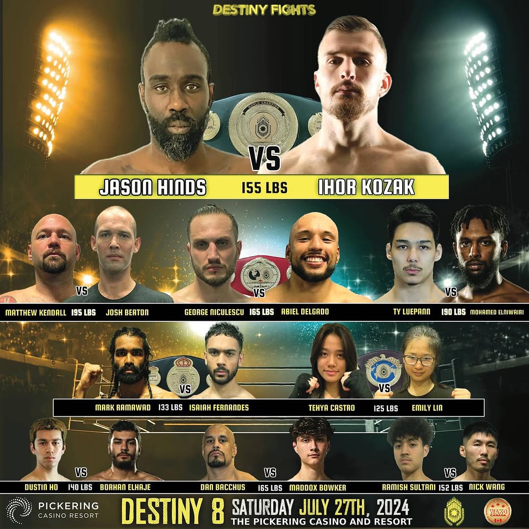 Destiny Fights 8 poster