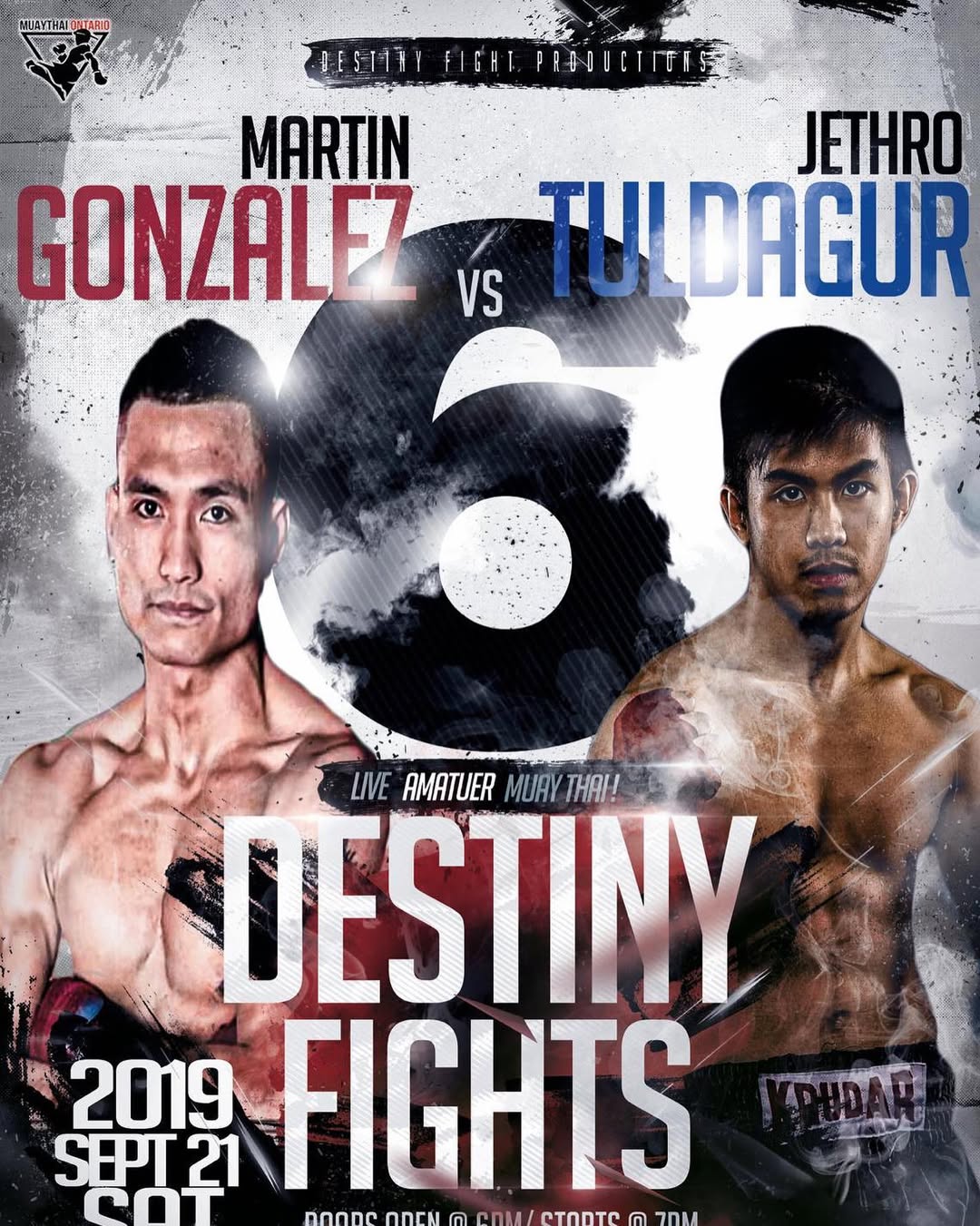 Destiny Fights 6 poster