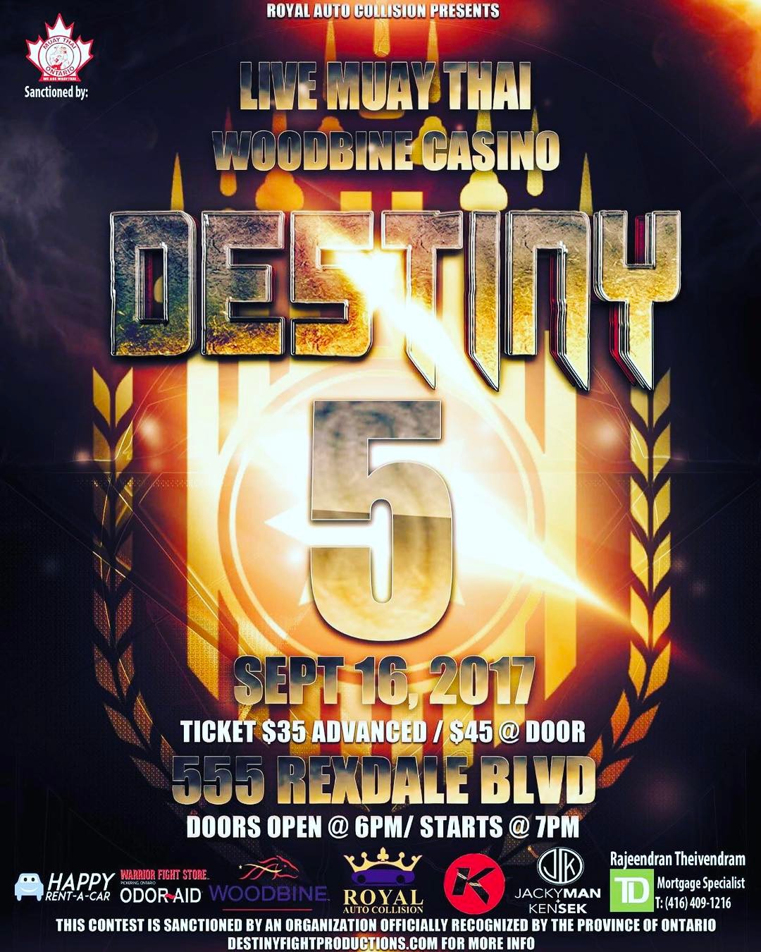 Destiny Fights 5 poster