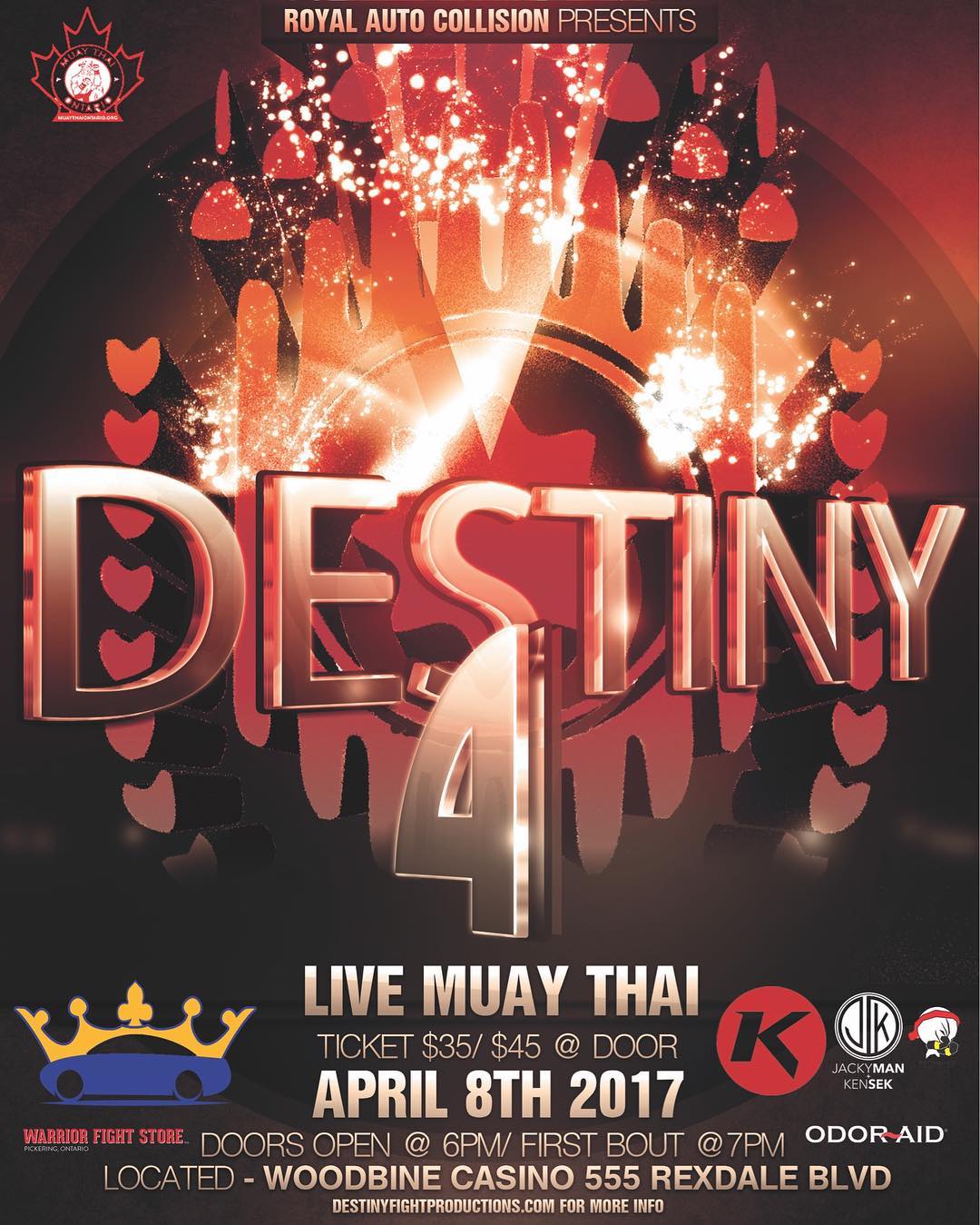 Destiny Fights 4 poster