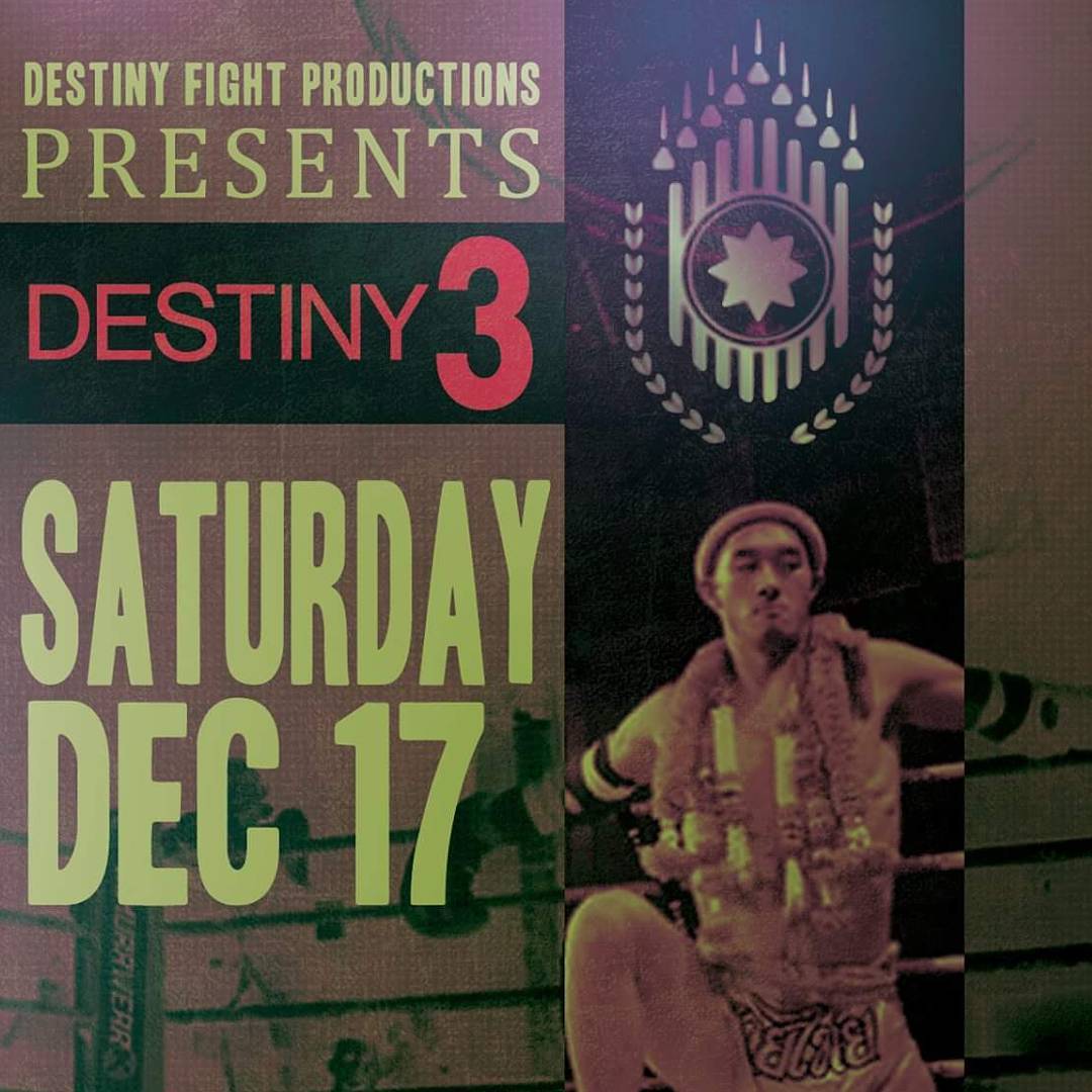 Destiny Fights 3 poster