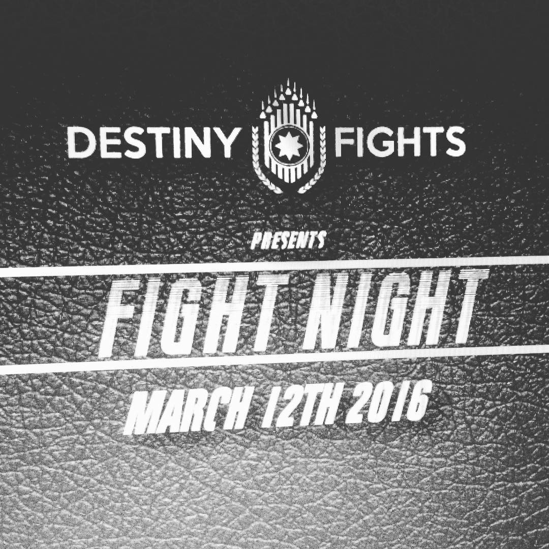 Destiny Fights 2 poster