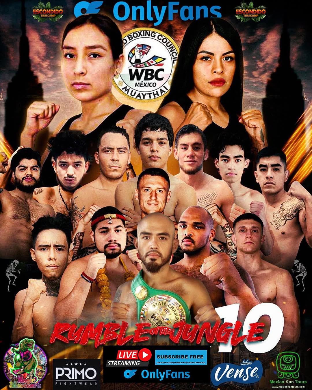Rumble In The Jungle 10 poster