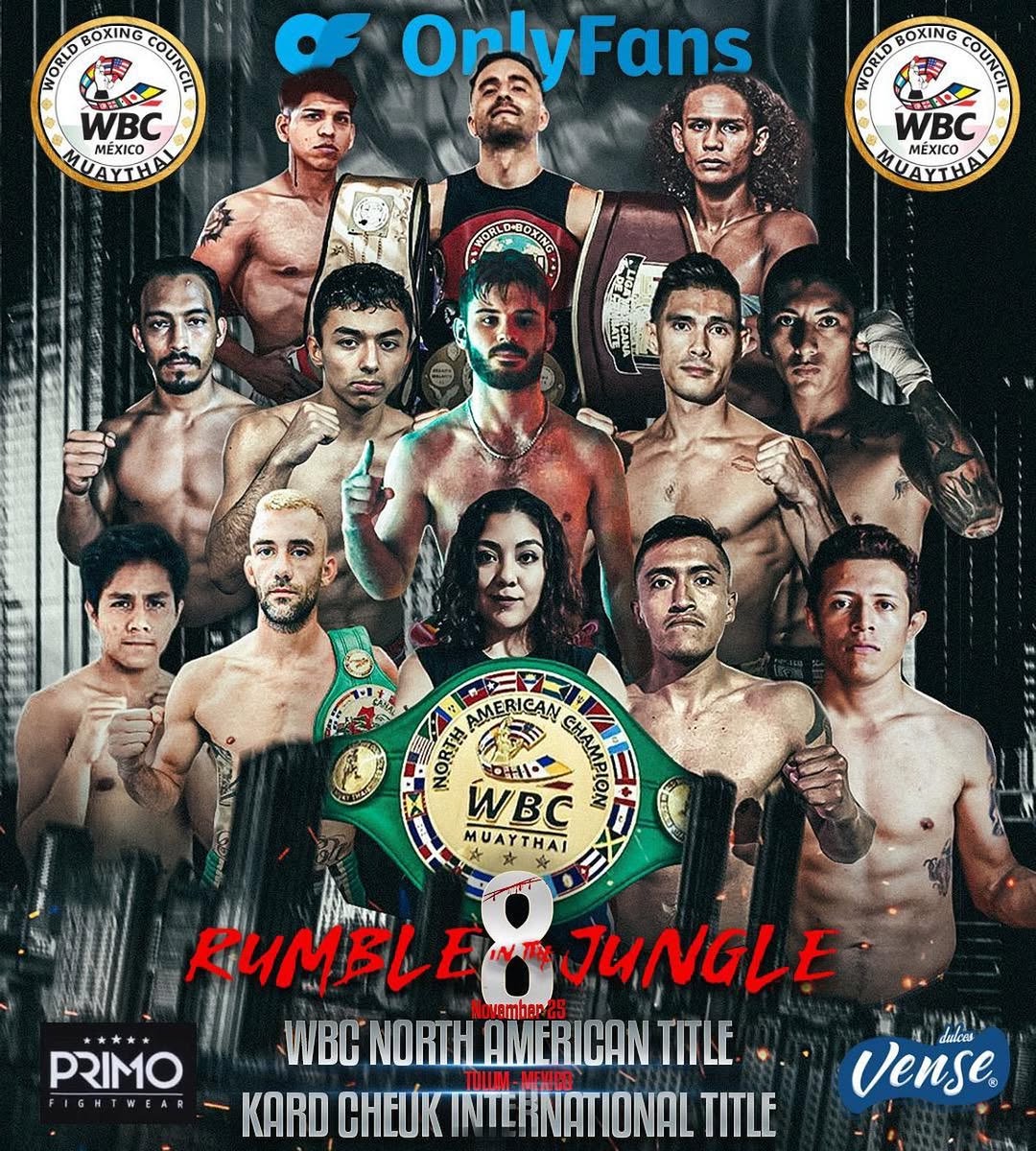 Rumble In The Jungle 8 poster