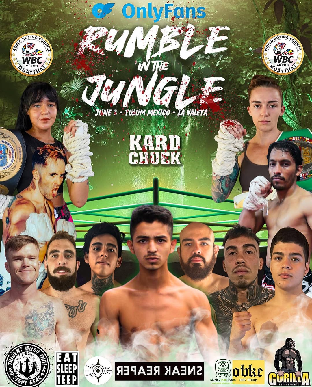 Rumble In The Jungle 6 poster