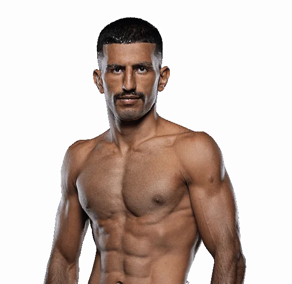 Arman Moradi